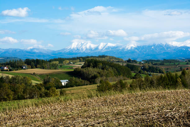istock Autumn foothills and snowy mountains 825850124