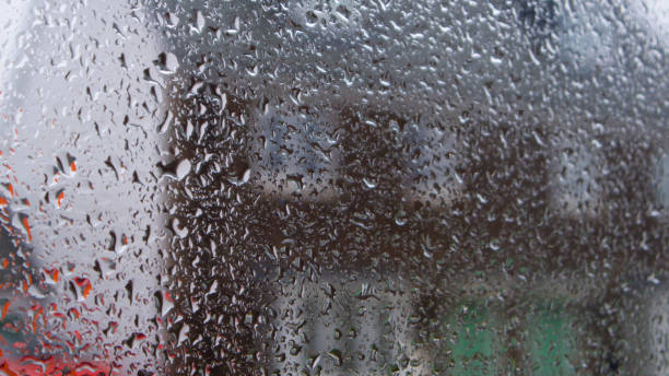 istock 4 Seasons - A rainy summer day 825850806