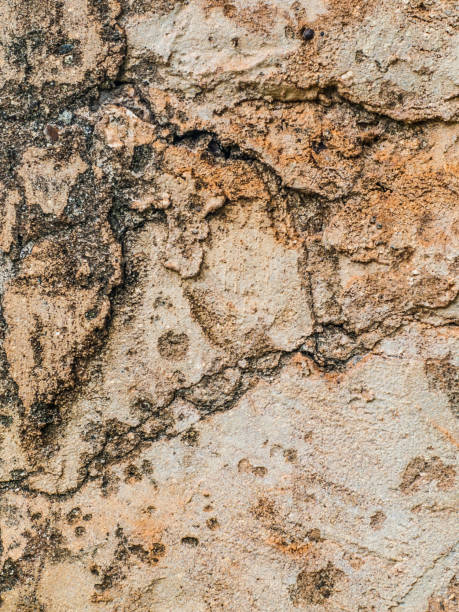 istock detail of ancient brick wall. 825853488