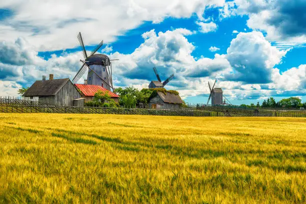 Photo of Saarema Island, Estonia: summer fields and Angla windmills