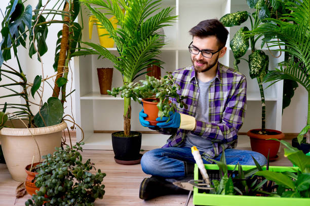 istock Male florist at shop 825866928