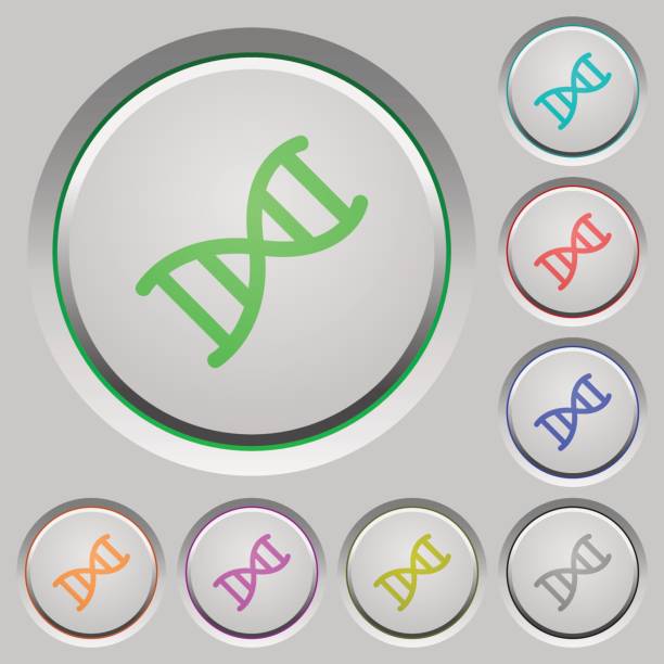 dna 분자 푸시 버튼 - spiral bevel gear stock illustrations