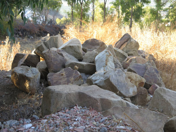 istock granite boulders in sun dried field 825874016