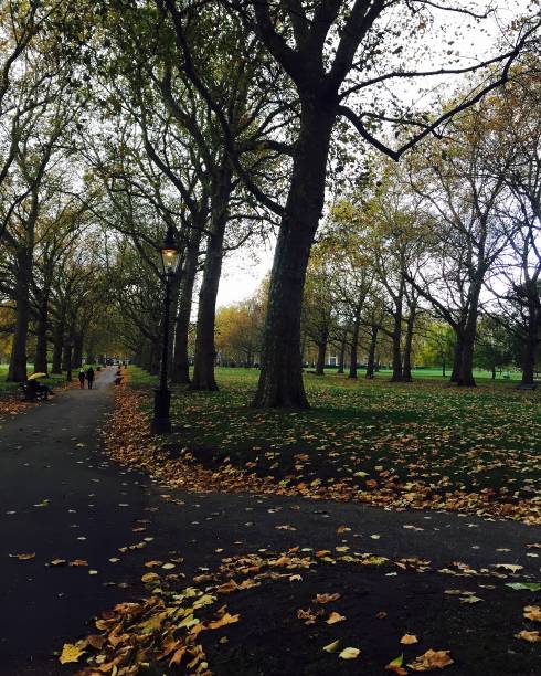 istock Autumn in London 825875320