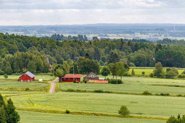 istock Landscape view with a farm on a field by the woods 825889014