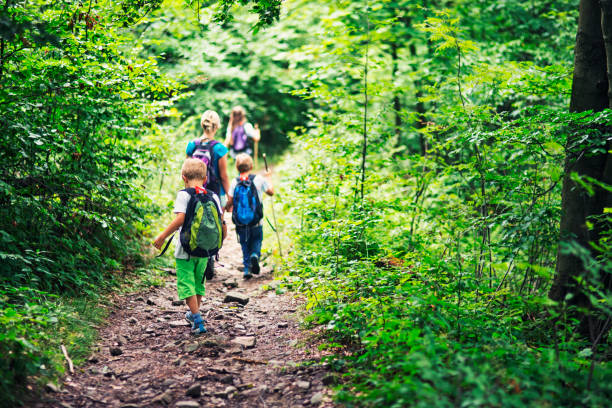 istock Family hiking in dense deciduous forest 825891062
