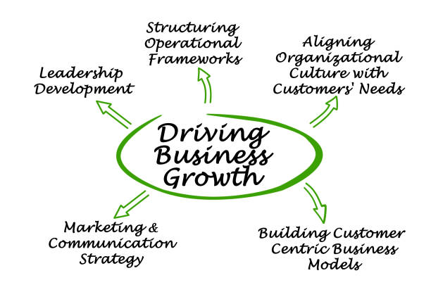 istock Driving Business Growth 825899906