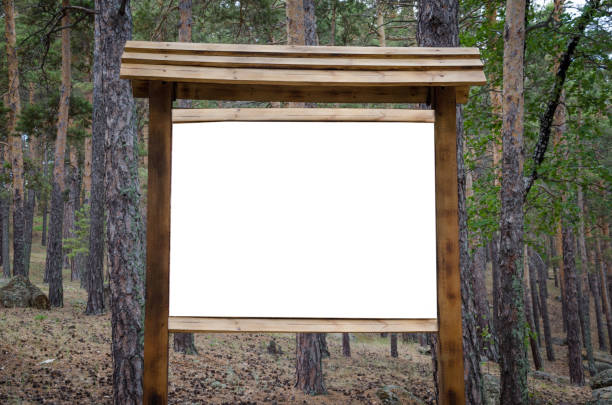 istock A large wooden sign in the forest, left blank for your text 825901194