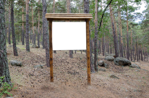 istock A large wooden sign in the forest, left blank for your text 825902654