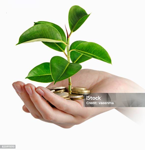 Investing To Green Business Stock Photo - Download Image Now - Adult, Bank - Financial Building, Business