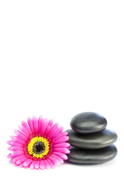 istock Pink and yellow flower touching piled up pebbles 825911254