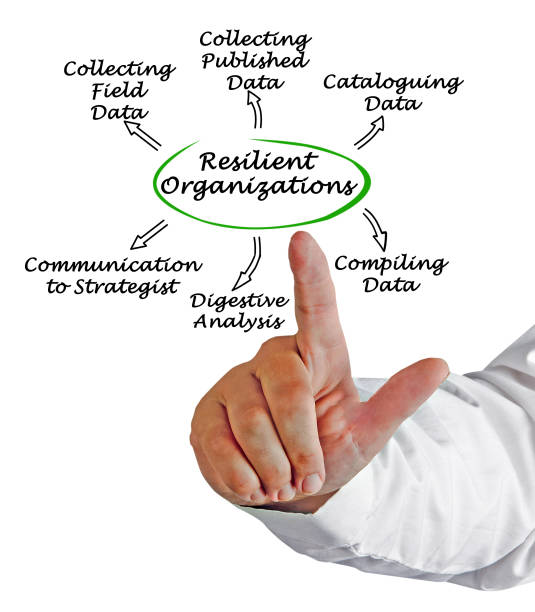 istock Diagram of Resilient Organizations 825911736