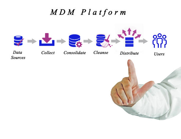 istock Diagram of Master Data Management 825911962