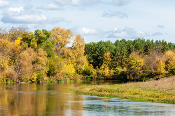 istock Autumn, the river covered with forest, a bright sunny day 825914434