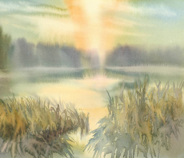 sonnenuntergang von der see-aquarell-hintergrund - forrest lake lichtstimmung nebel stock-grafiken, -clipart, -cartoons und -symbole