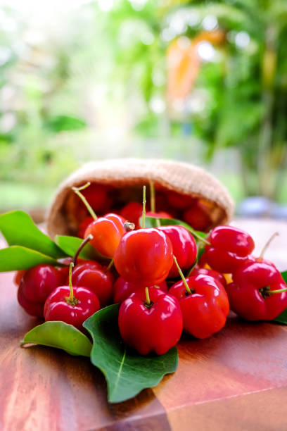 istock Acerola fruit close up on background 825925766