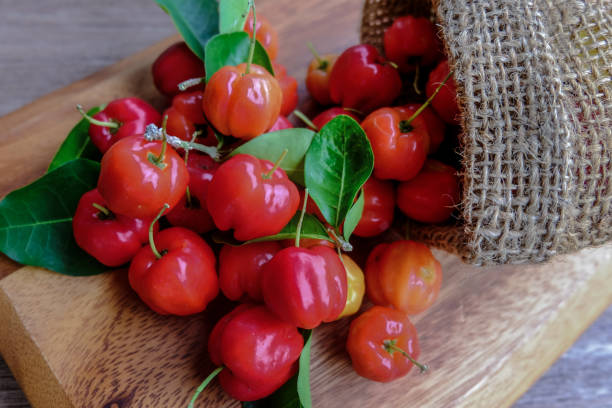 istock Acerola fruit close up on background 825926554