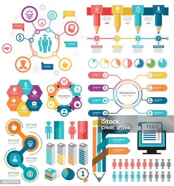 Education Infographic Elements Stock Illustration - Download Image Now - Infographic, Education, University