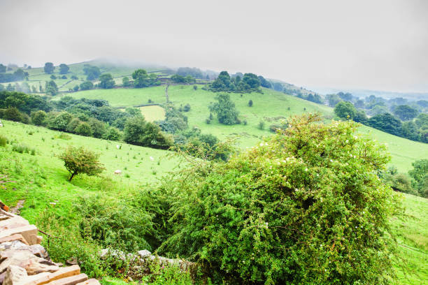 Rural views of Rainow, near Macclesfield, Cheshire, United Kingdom, selective focus