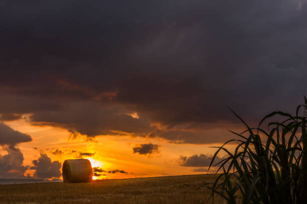 istock Dusk of Biei 825940612