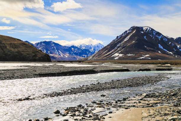 istock Toklat River in Denali National Park 825941254
