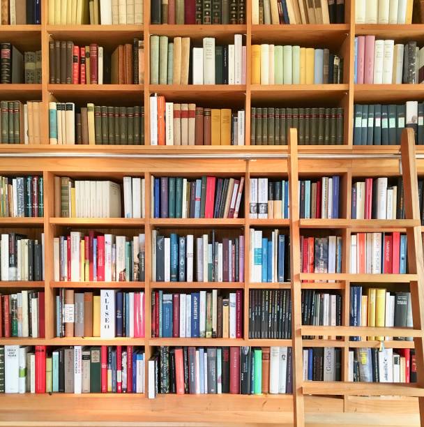 istock Filled books shelf close up with a ladder 825941908