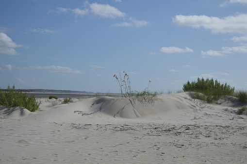 St. Simons Island GA coast, sand dunes