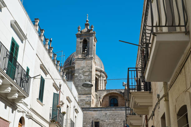 istock Mr Alleyway. Missive chicks. Apulia. Italy. 825945732