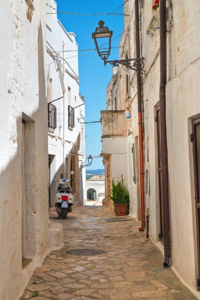 istock Mr Alleyway. Missive chicks. Apulia. Italy. 825949084
