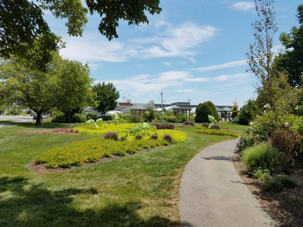 istock asphalt path in garden and plants with big leaves 825949796