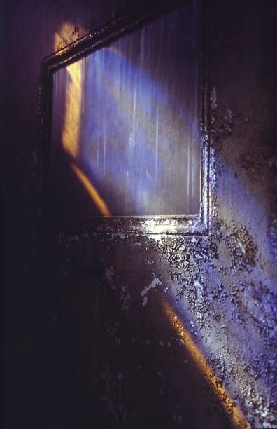 istock Reflection on a wall in Pere Lachaise cemetery, Paris 825952226