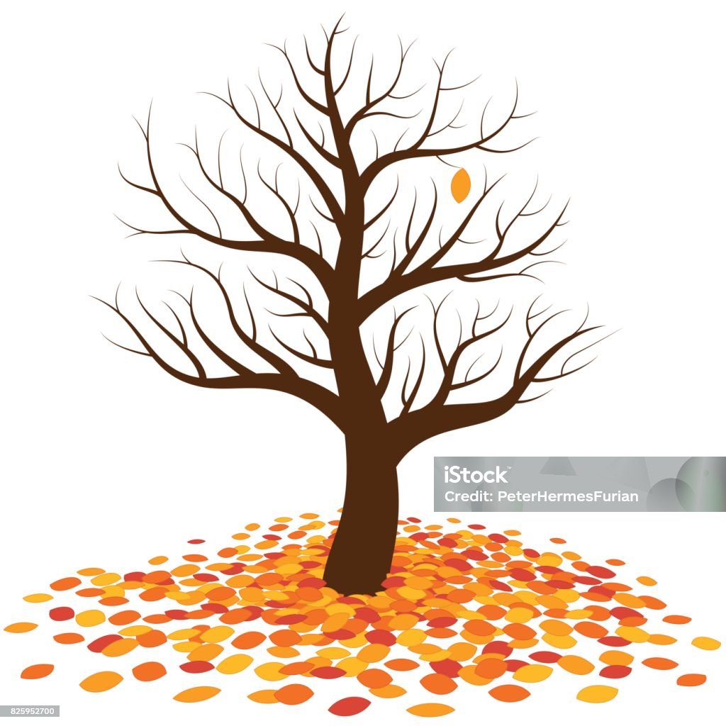 Leafless tree in autumn with one last single orange leaf on it waiting for to fall on the more colorful pile of leaves at the root of the tree. Isolated vector illustration on white background. Leaf stock vector