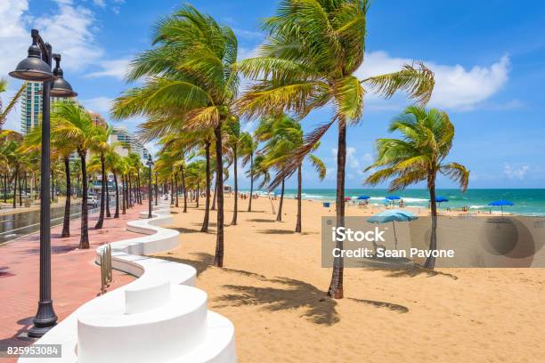 Fort Lauderdale Beach Stock Photo - Download Image Now - Fort Lauderdale, Beach, Florida - US State
