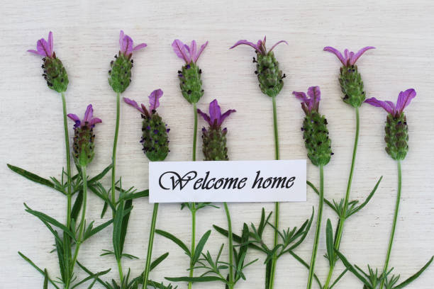istock Welcome home card with lavender flowers on white wooden surface 825955120