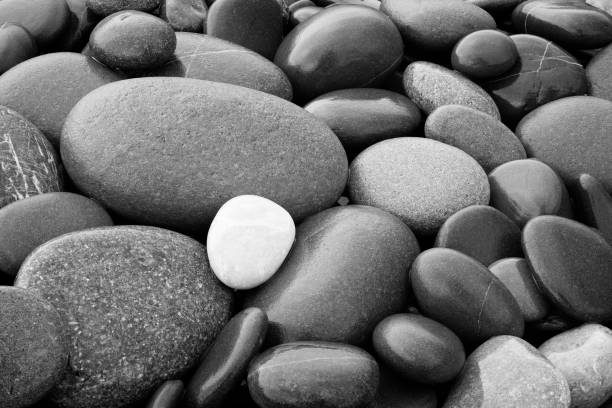 istock Black and White abstract smooth round wet pebbles sea texture background 825958300