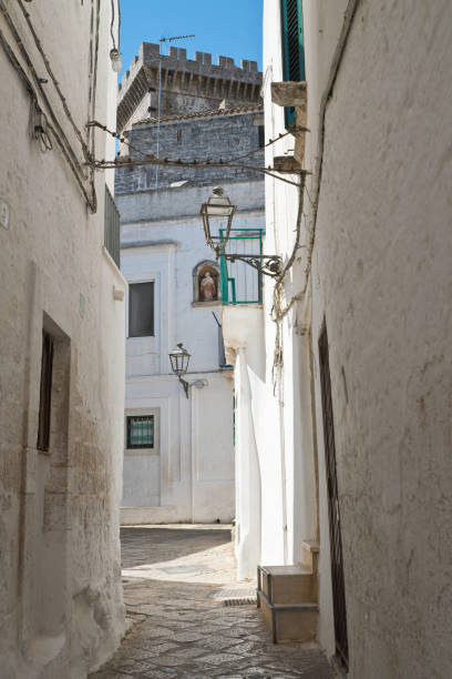 istock Mr Alleyway. Missive chicks. Apulia. Italy. 825958364