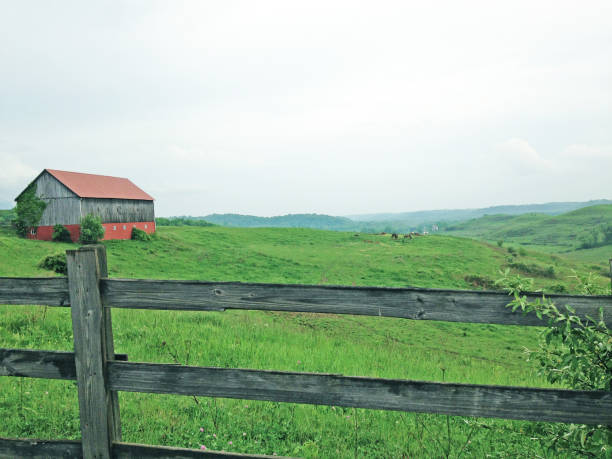 istock Rural landscape with barn and horses 825958744