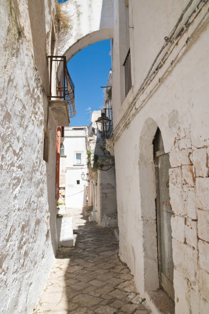 istock Mr Alleyway. Missive chicks. Apulia. Italy. 825961546