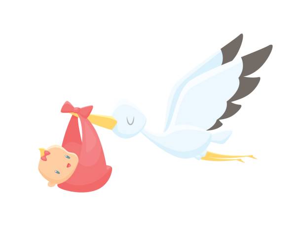 cartoon-storch mit baby-mädchen-vektor-illustration - storchenvogel stock-grafiken, -clipart, -cartoons und -symbole