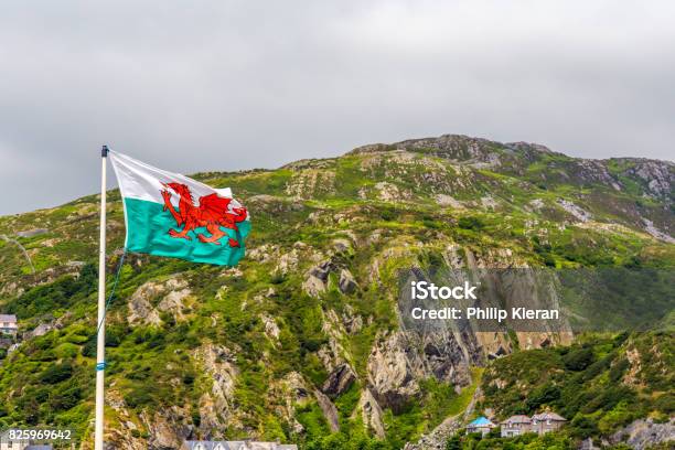 Welsh Flag Stock Photo - Download Image Now - Accuracy, Blue, Cardiff - Wales