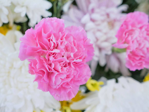 istock beautiful integrity color flowers 825974108