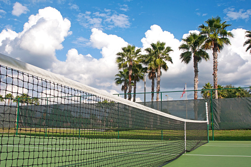 Tennis court net with some palm trees in the background, on a sunny and cloudy summer afternoon. Tampa, Florida, USA.