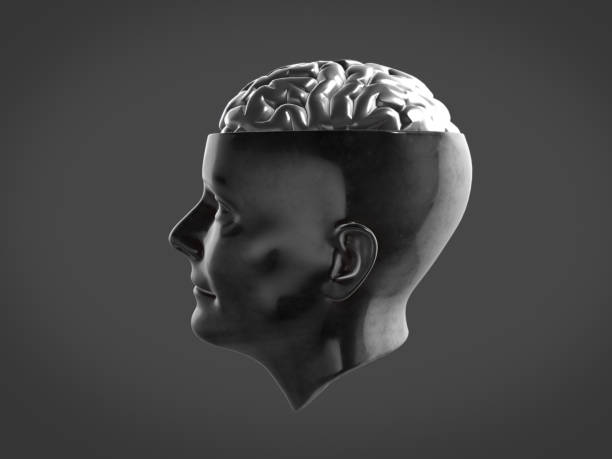 istock Chrome brain in metal head ,Abstract brain.3D rendering 825981304