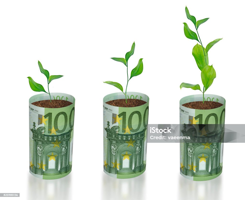 sapling growing from euro Business Stock Photo