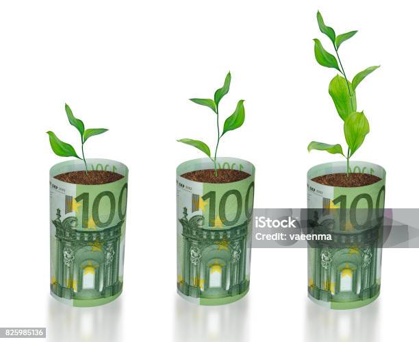 Sapling Growing From Euro Stock Photo - Download Image Now - Business, Business Finance and Industry, Climate