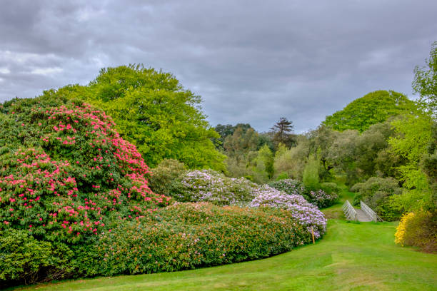 Flowers In The Summertime, Bright Vivid colours