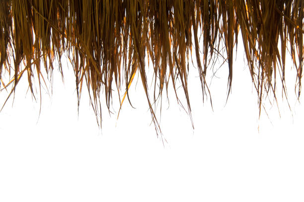 istock Roof made of grass 825986674