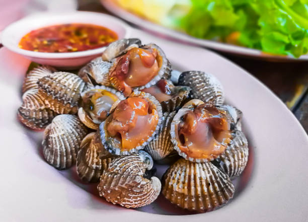 istock Animal Shell, Seashell, Crustacean, Seafood, Caviar 825990220