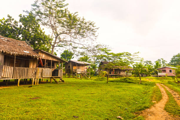 istock Rio Platano Reserve in Moskitita 826000832