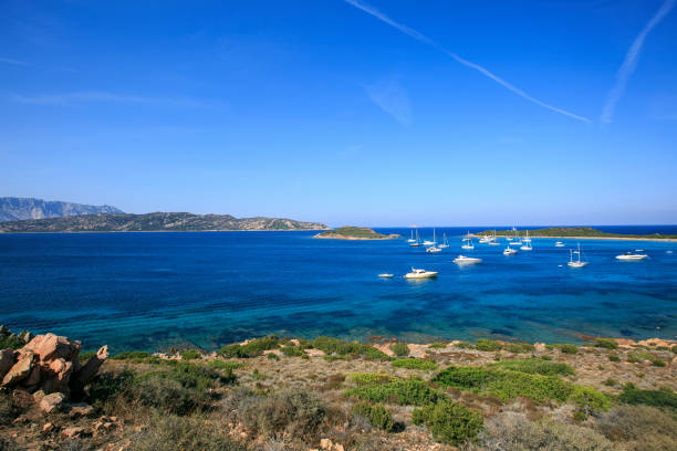 istock Amazing beach sited in Sardinia 826002156